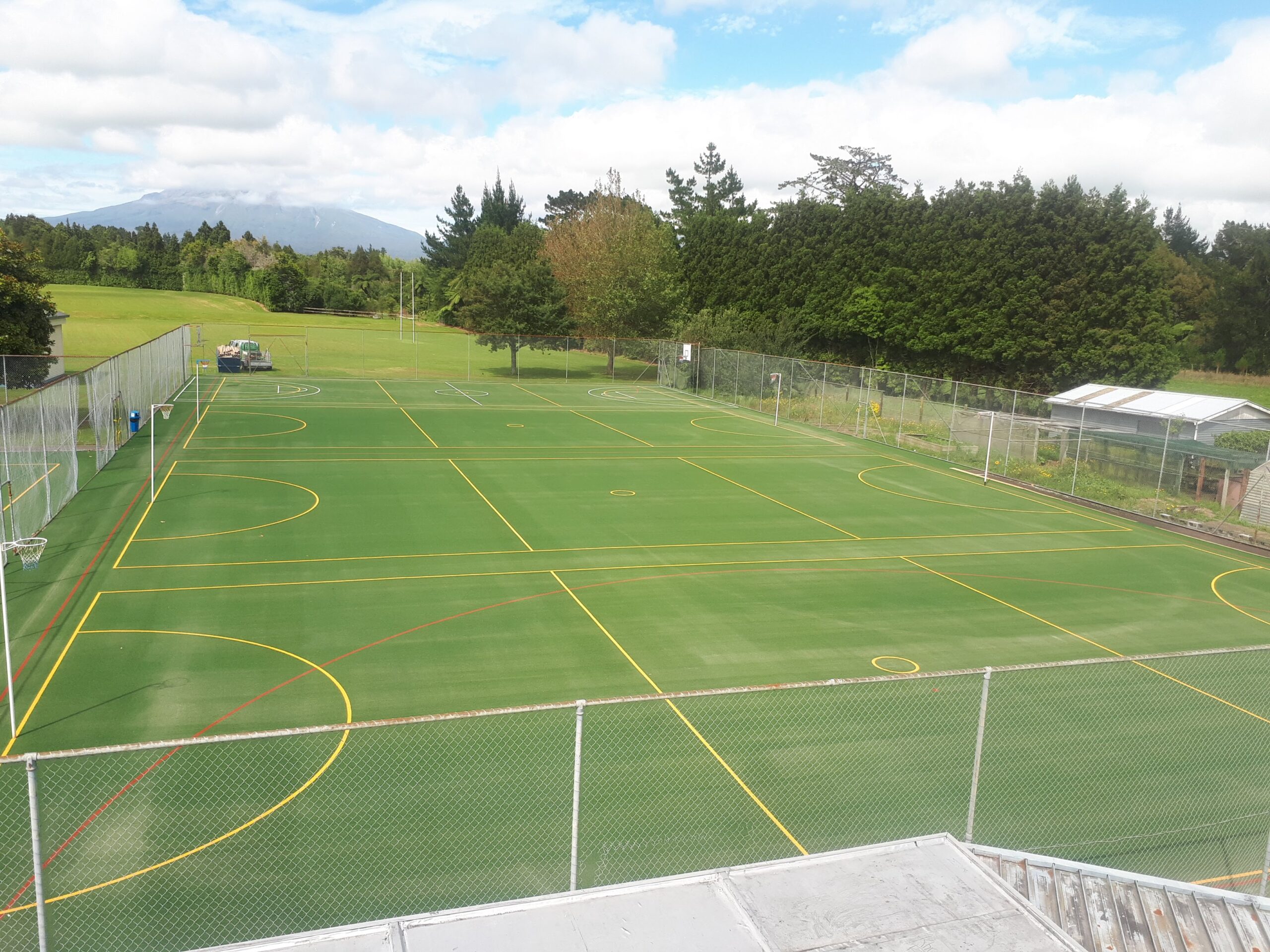 Inglewood school turf